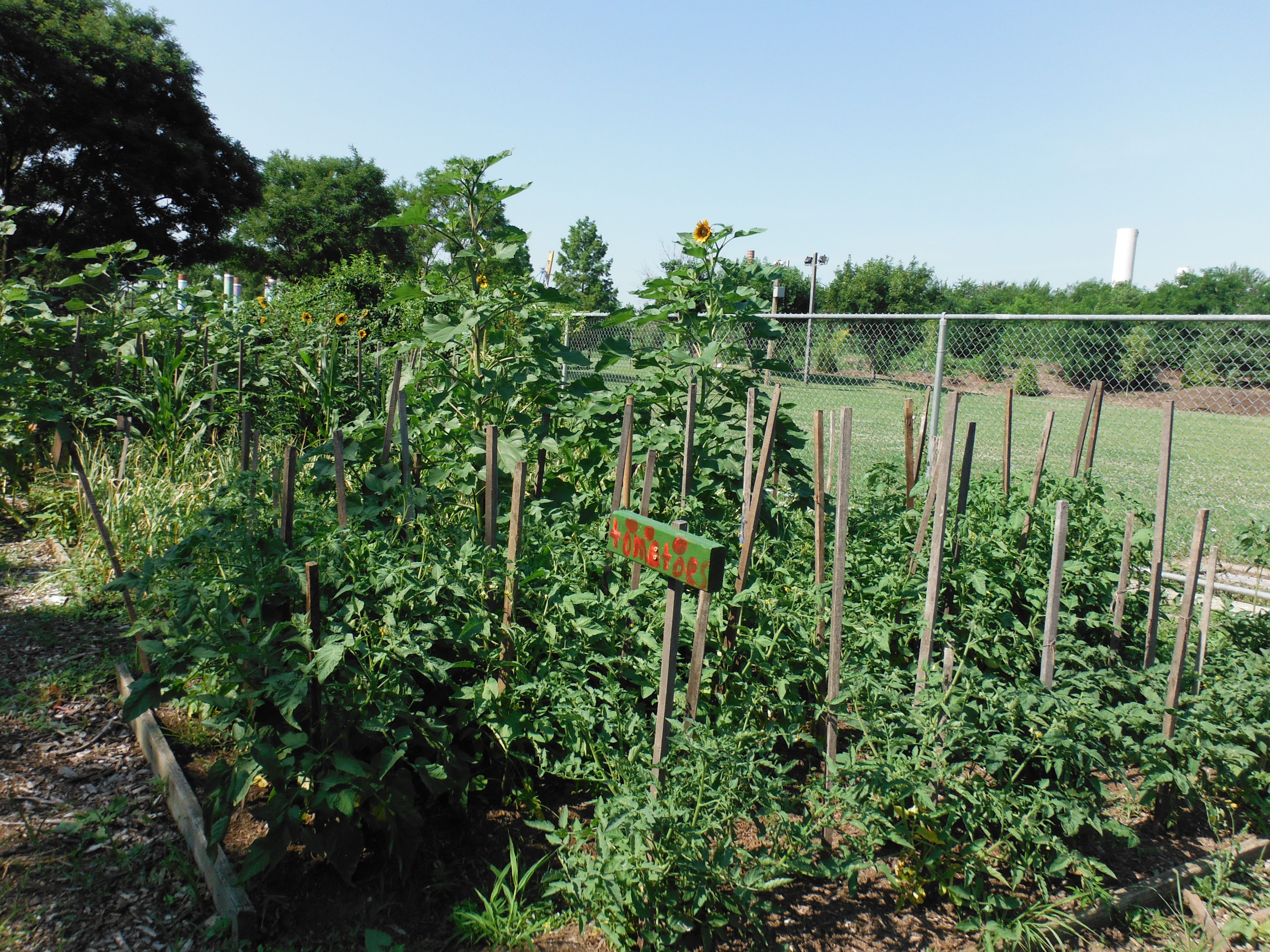 external image 2014_0604AD.jpg