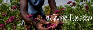 Giving Tuesday 3 final