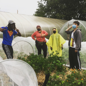 Garden workers, rainy day