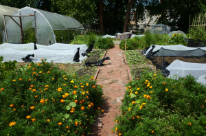 wide view garden